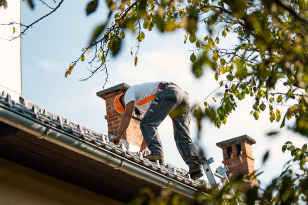 Sealant for Roof in Kettle Falls, WA