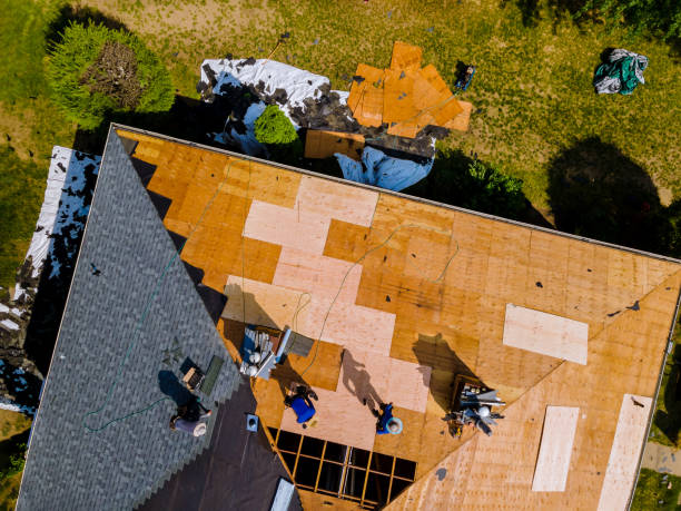 Best Metal Roofing Contractor  in Kettle Falls, WA