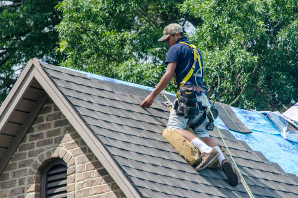 Best Emergency Roof Repair  in Kettle Falls, WA